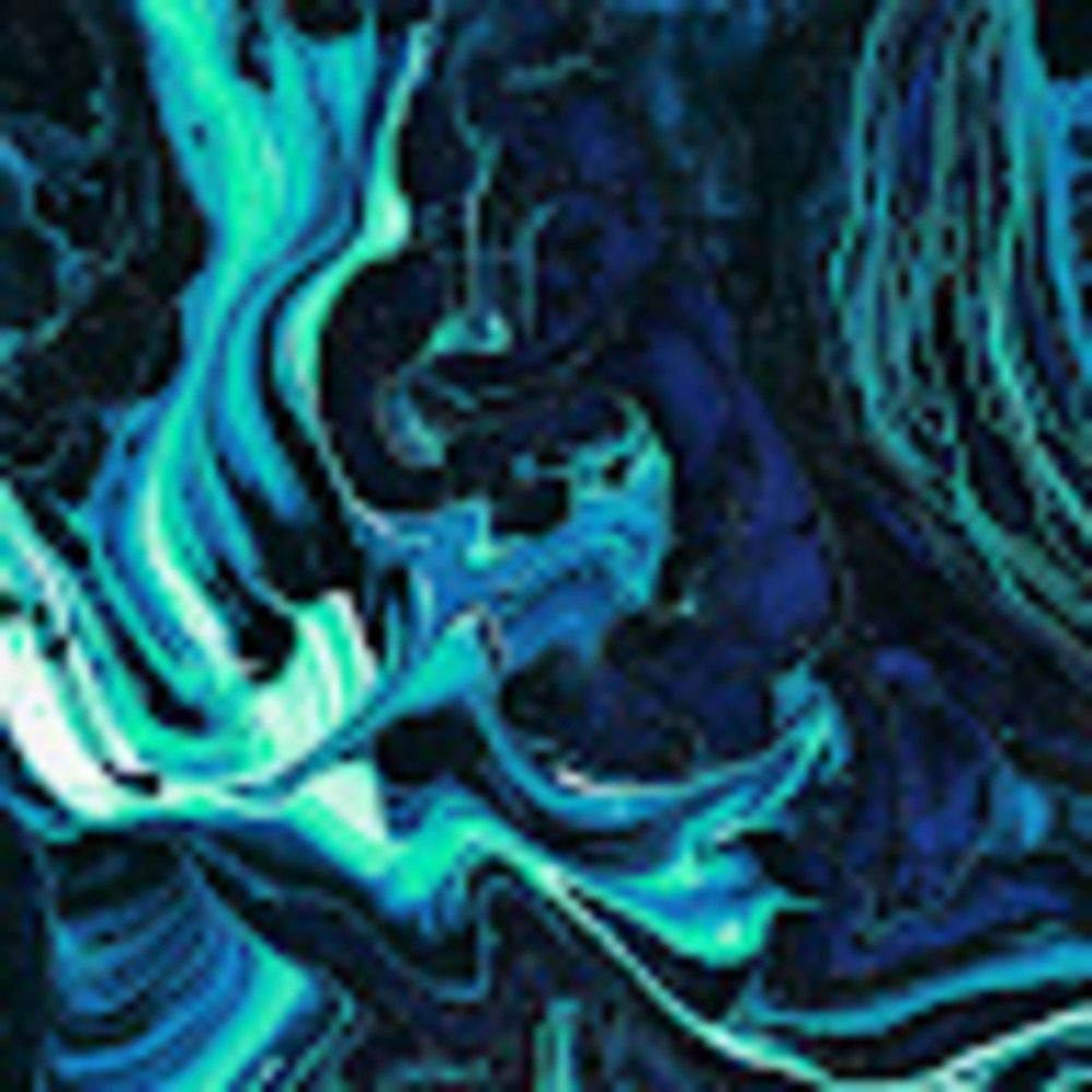 Meet your Posher, Ryley